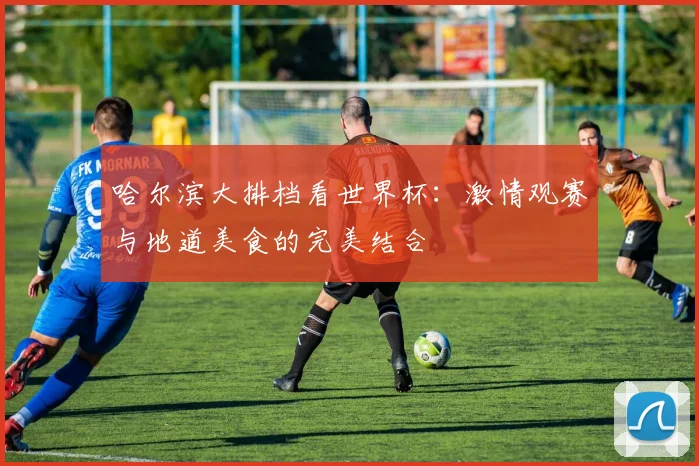 哈尔滨大排档看世界杯：激情观赛与地道美食的完美结合
