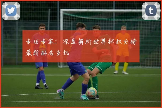 专访专家：深度解析世界杯积分榜最新排名玄机