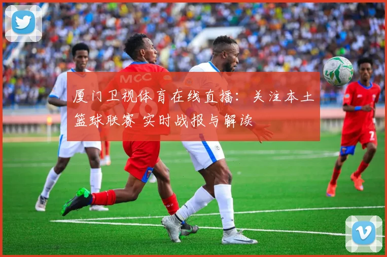 厦门卫视体育在线直播：关注本土篮球联赛 实时战报与解读