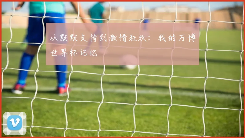 从默默支持到激情狂欢：我的万博世界杯记忆