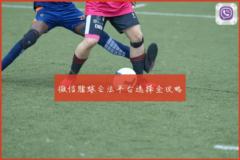 微信赌球合法平台选择全攻略