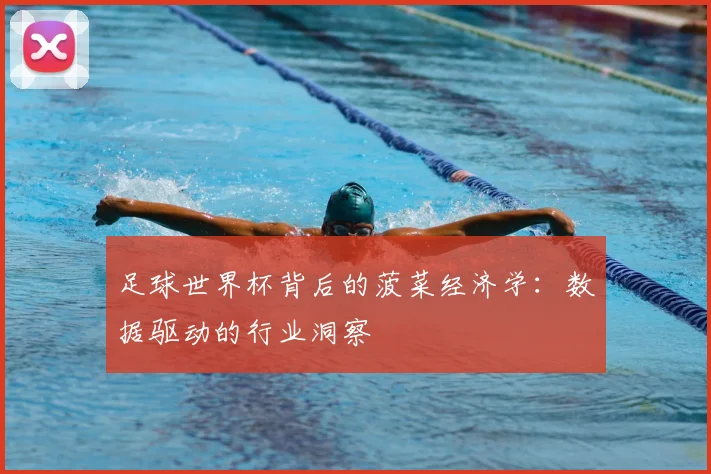 足球世界杯背后的菠菜经济学：数据驱动的行业洞察