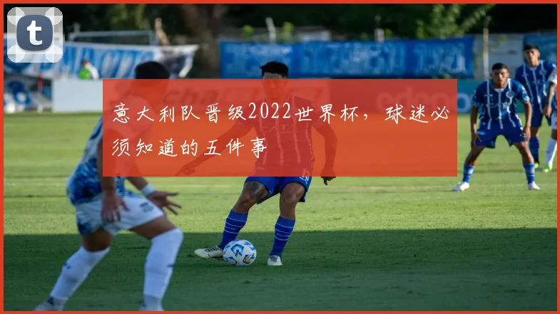 意大利队晋级2022世界杯,球迷必须知道的五件事