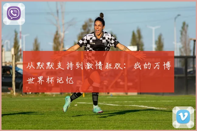 从默默支持到激情狂欢：我的万博世界杯记忆