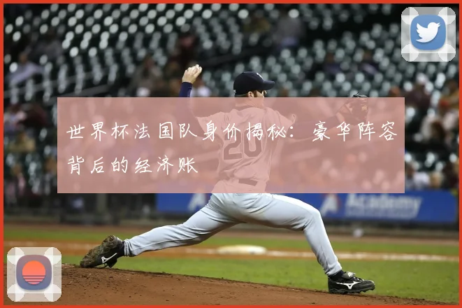 世界杯法国队身价揭秘：豪华阵容背后的经济账