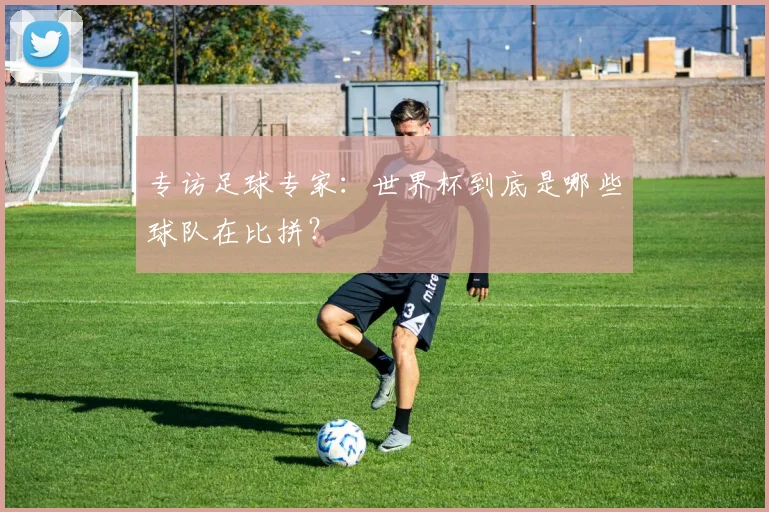 专访足球专家：世界杯到底是哪些球队在比拼？