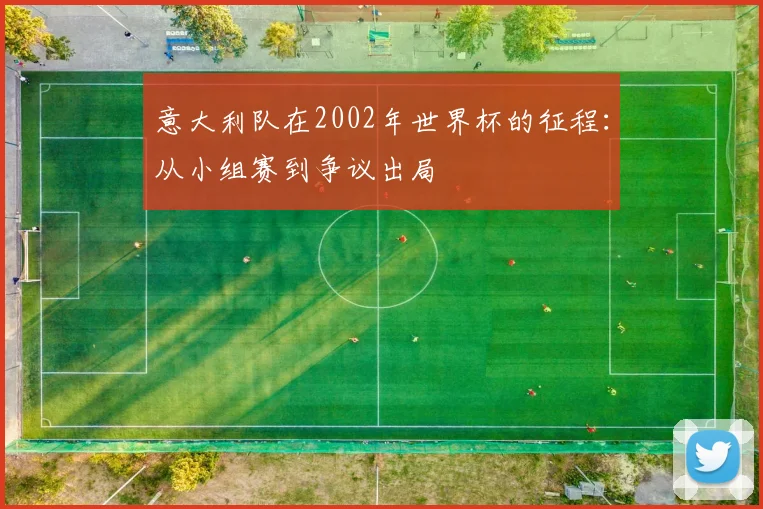 意大利队在2002年世界杯的征程:从小组赛到争议出局