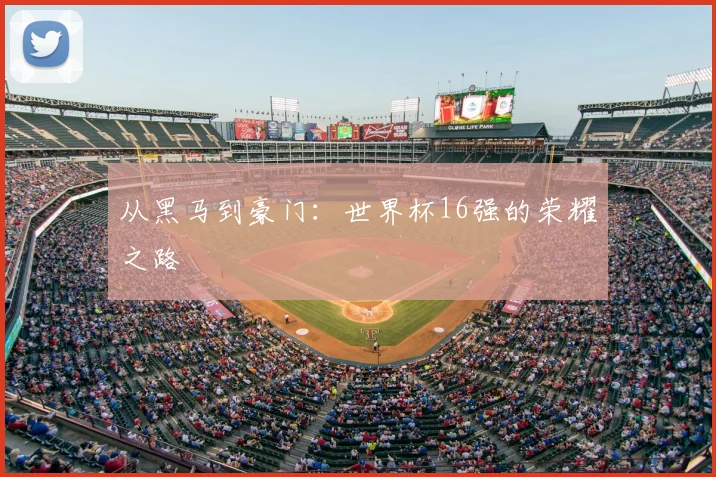 从黑马到豪门：世界杯16强的荣耀之路