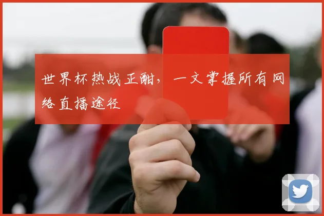 世界杯热战正酣，一文掌握所有网络直播途径