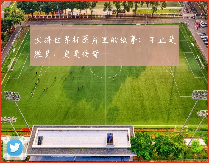 女排世界杯图片里的故事：不止是胜负，更是传奇