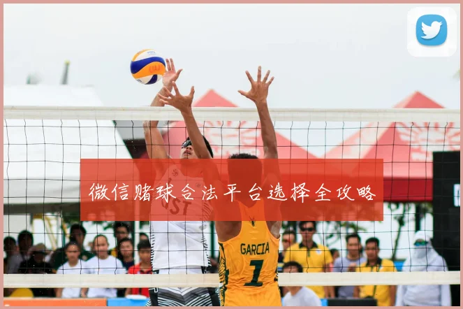 微信赌球合法平台选择全攻略