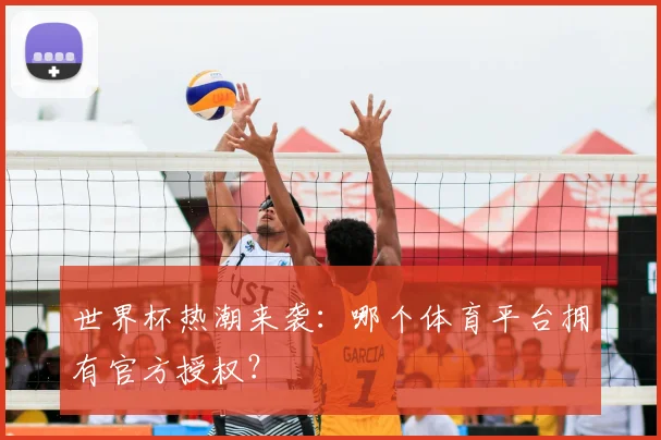 世界杯热潮来袭：哪个体育平台拥有官方授权？